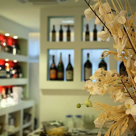 酒店 阿里斯蒂奥酒店 3*