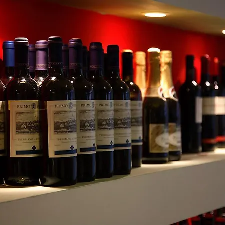 阿里斯蒂奥酒店